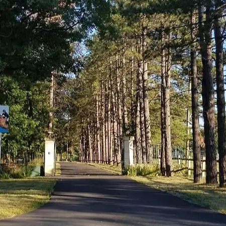 بيت للعطل Equestre