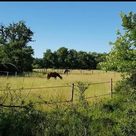 Equestre لاروش بوزيه