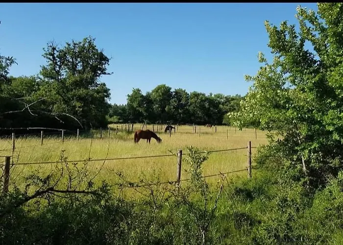 équestre La Roche-Posay